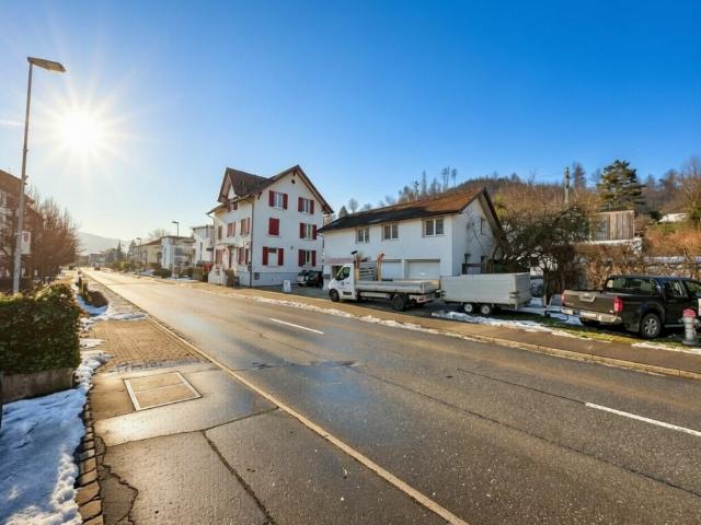 Immobilie kaufen in Birmensdorf (ZH), Zürich
