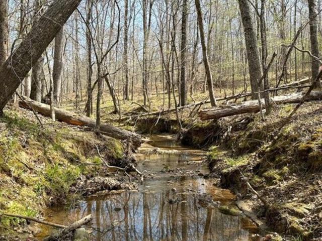 Land for sale in Haddock, Georgia