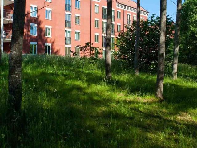 Lägenhet hyra i Slottsstaden, Växjö