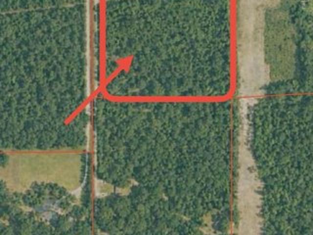 Land for sale in Merryville, Louisiana
