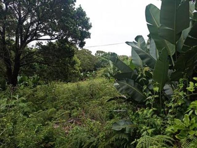 Land for sale in Ugu District Municipality, Kwazulu-natal