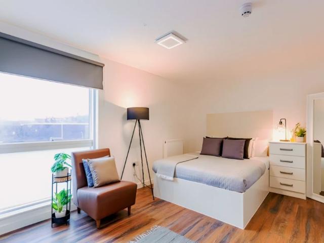 Studio for rent in Round Hill, Brighton & Hove