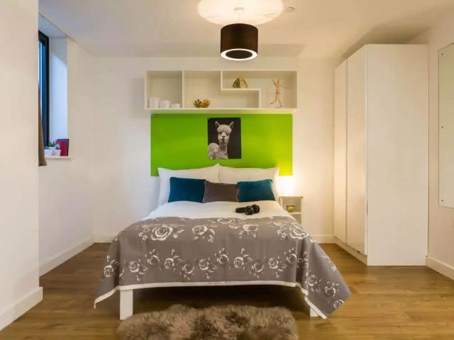 Studio for rent in City Centre, Feckenham