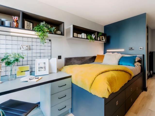 Studio for rent in Newtown, Falcon Lodge