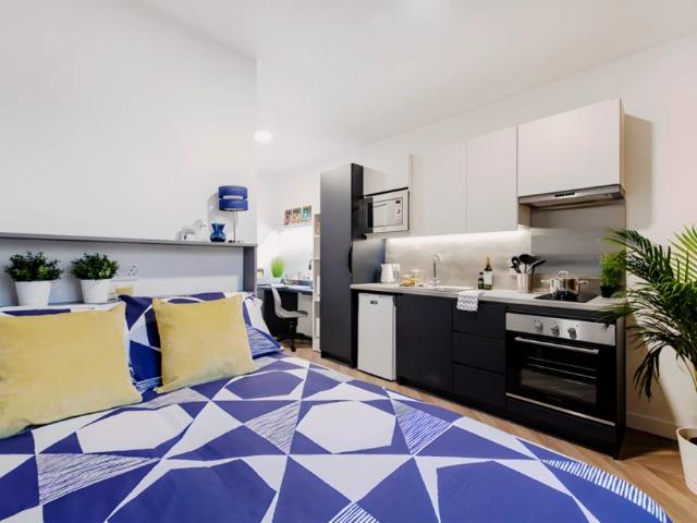 Studio for rent in Lansdowne, Charminster