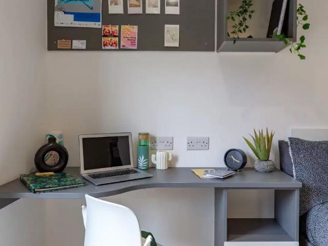 Studio for rent in St Ann's, Haddon