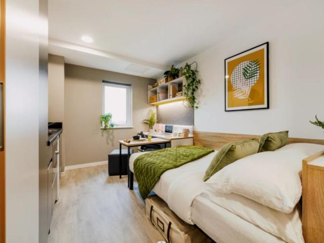 Studio for rent in Calthorpe Fields, West Midlands