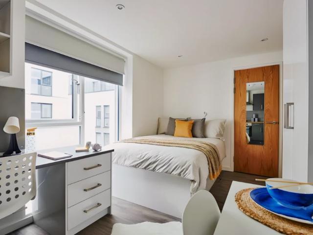 Studio for rent in Greenbank, Mount Wise
