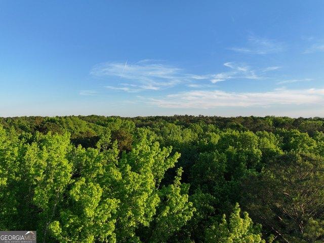 Land for sale in Senoia, Georgia