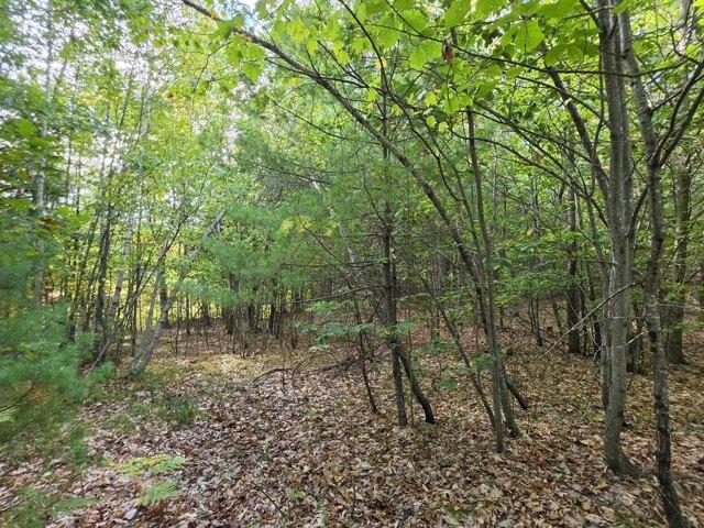 Land for sale in Standish, Cumberland County