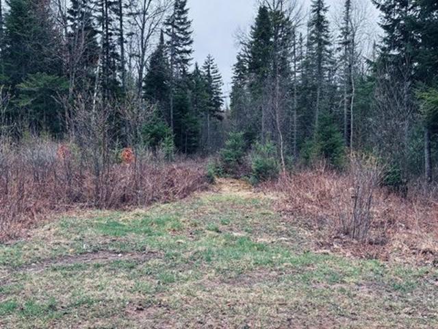 Land for sale in Redford, New York
