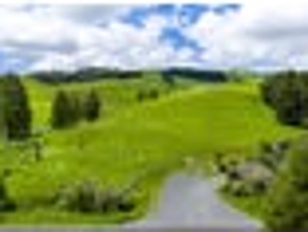 Land for sale in Waikato