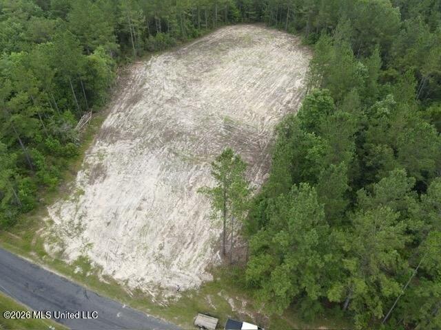 Land for sale in Poplarville, Mississippi
