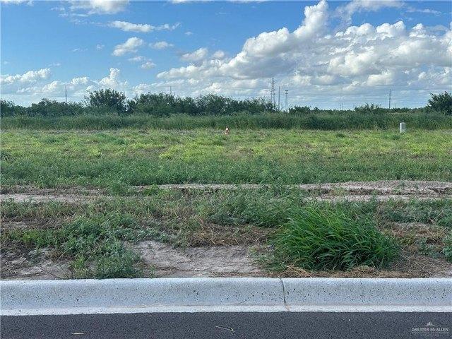 Land for sale in Hidalgo, Texas