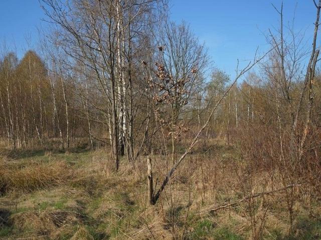 Grunt na sprzedaż w Stanisławów, Mazowieckie