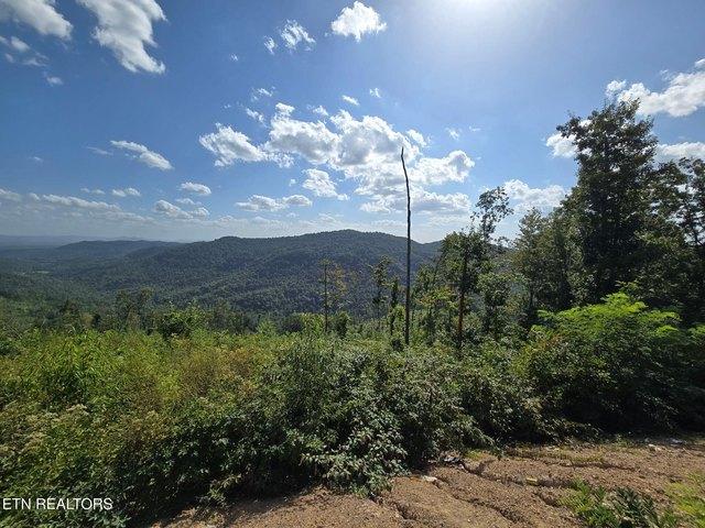 Land for sale in Oneida, East Tennessee