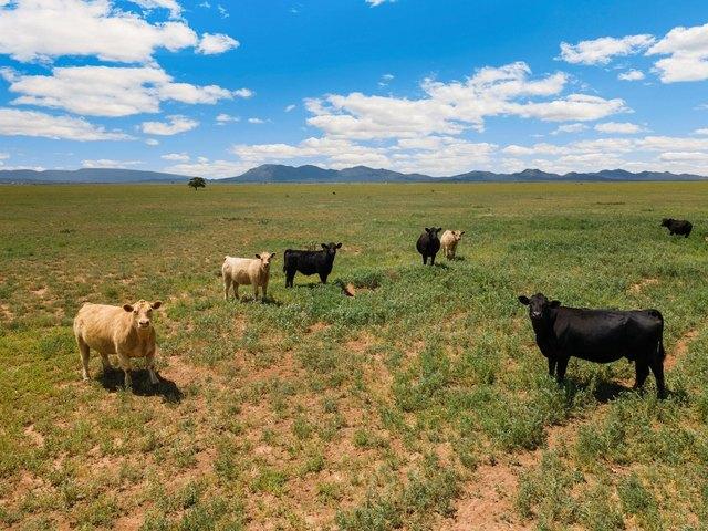 Farm for sale in Kansas