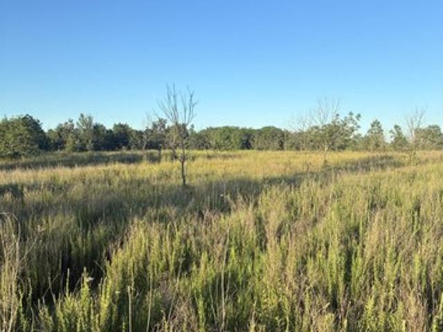 Land for sale in Elberfeld, Indiana