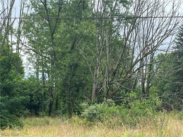 Land for sale in Portage, Ohio