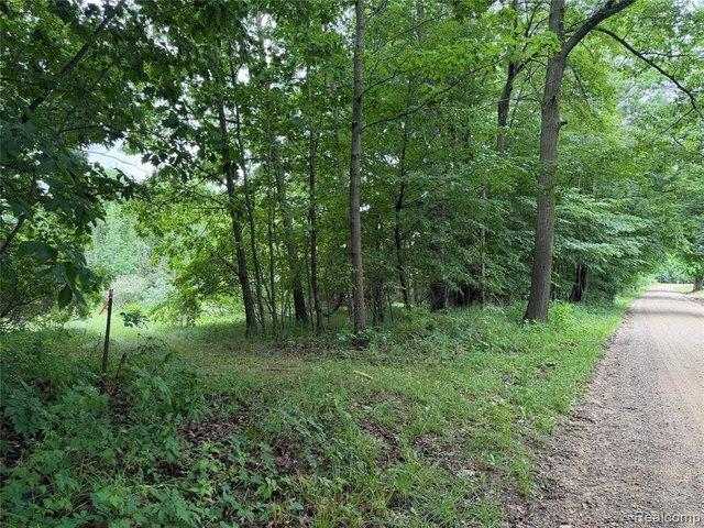 Land for sale in Arcadia, Michigan
