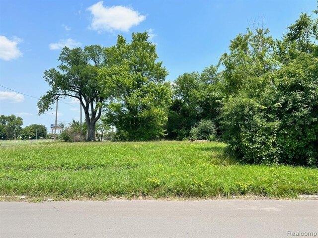 Land for sale in Detroit
