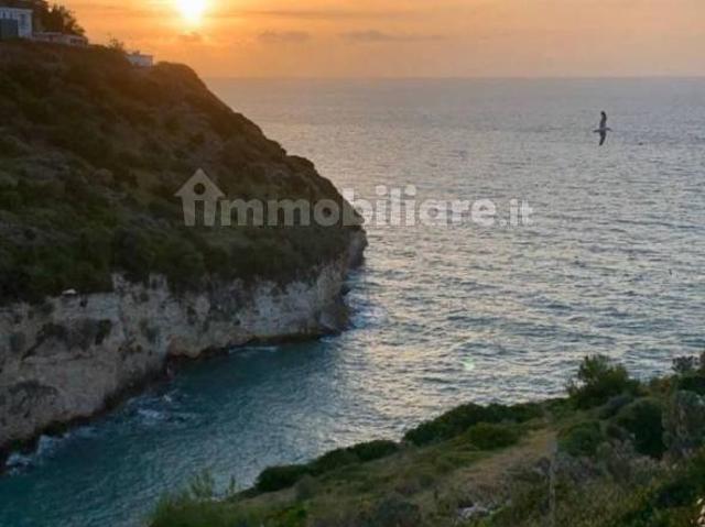 Stanza in affitto a Puglia, Foggia