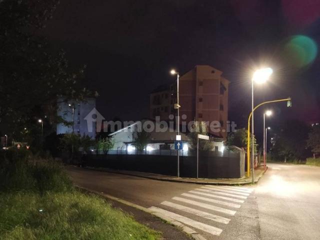 Stanza in affitto a Frosinone, Lazio