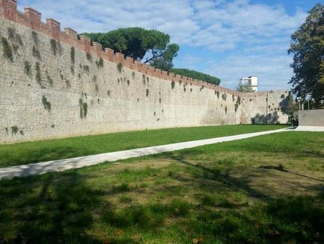 Stanza in affitto a Porta a Lucca, Pisa