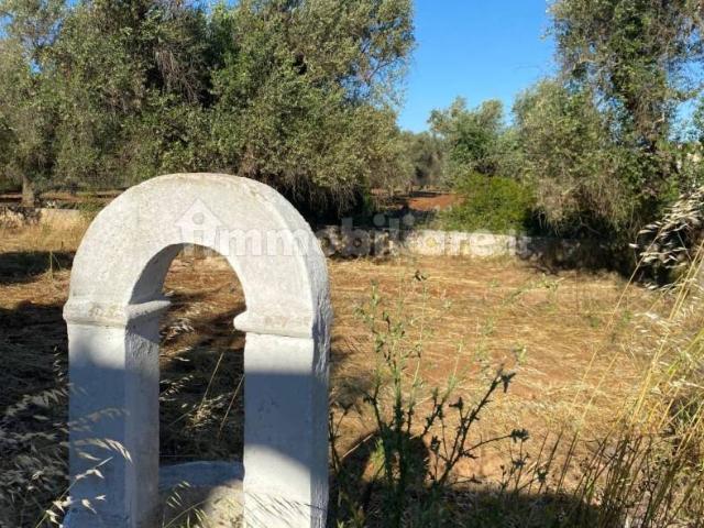 Stanza in affitto a Puglia, Brindisi