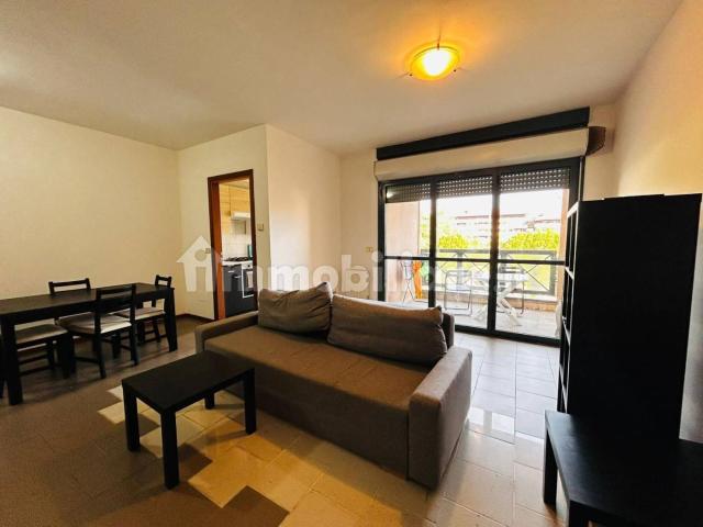 Stanza in affitto a Puglia, Barletta-andria-trani