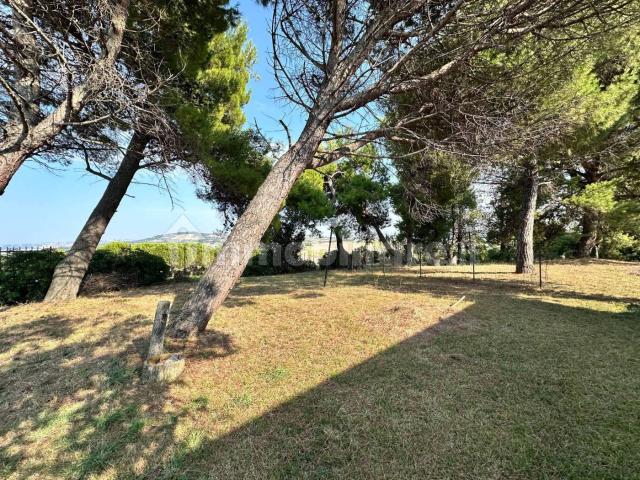 Stanza in affitto a Marche, Ancona