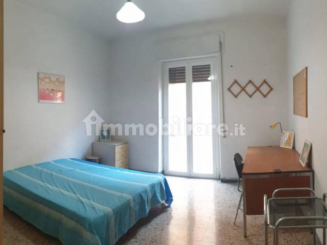 Stanza in affitto a Viterbo