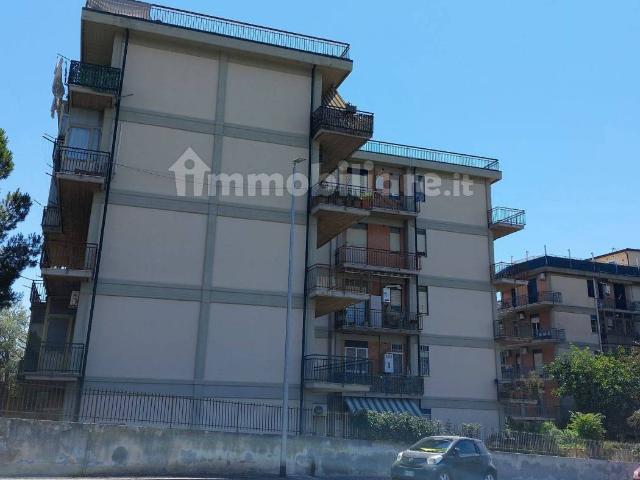 Stanza in affitto a Picanello-Ognina-Barriera-Canalicchio, Catania