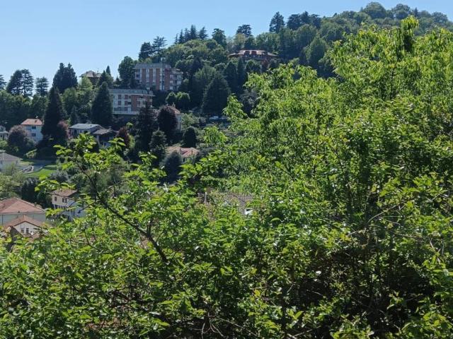 Stanza in affitto a Piemonte, Torino