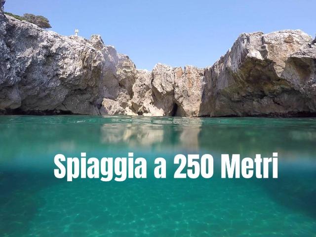 Stanza in affitto a Puglia, Taranto