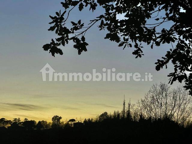 Stanza in affitto a Monte Donato, Bologna