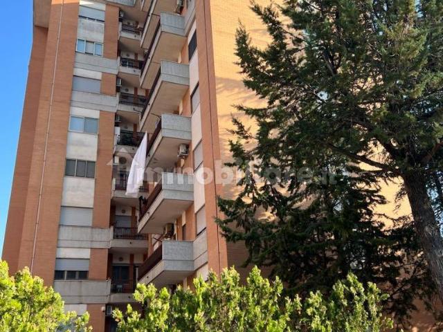 Stanza in affitto a Puglia, Foggia
