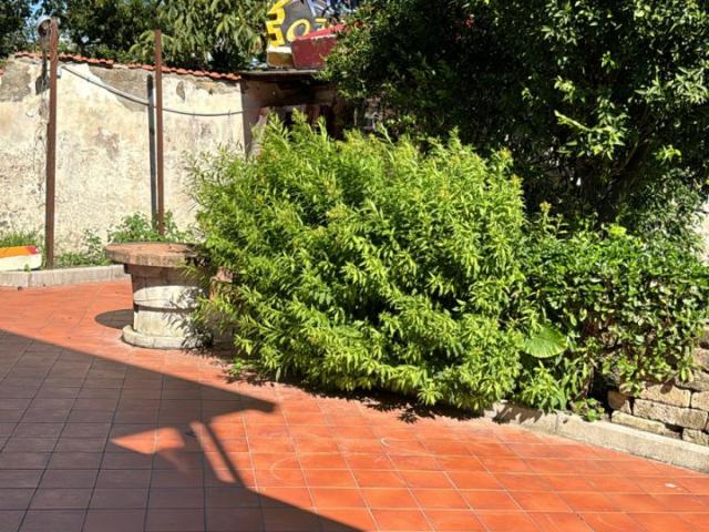 Stanza in affitto a Paratina, Napola