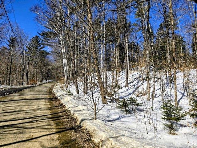 Land for sale in Temple, Maine