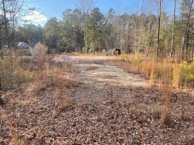 Land for sale in Stapleton, Georgia