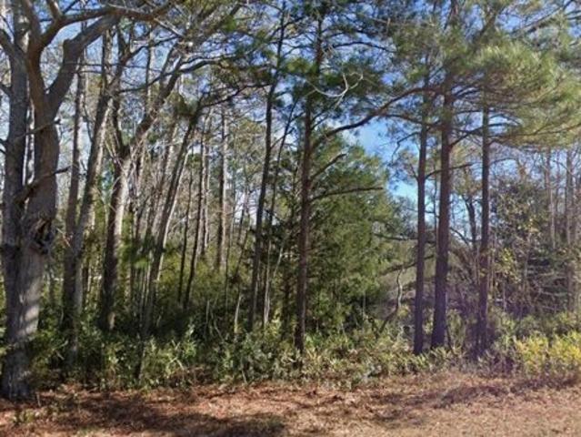 Land for sale in Ash, North Carolina