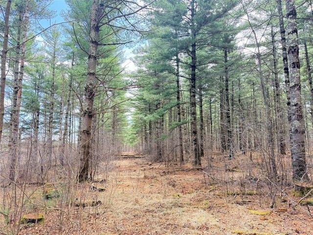 Land for sale in Rice Lake, Wisconsin