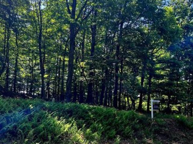 Land for sale in Virginia