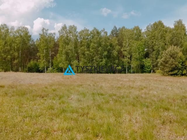 Grunt na sprzedaż w Stara Kiszewa, Pomorskie