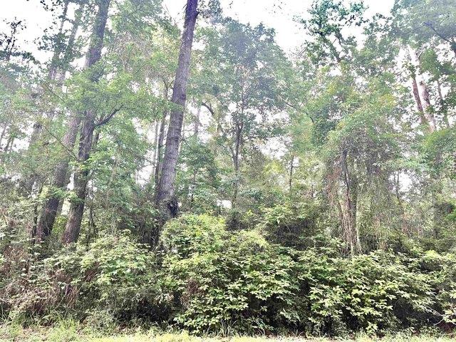 Land for sale in Sabine, Texas