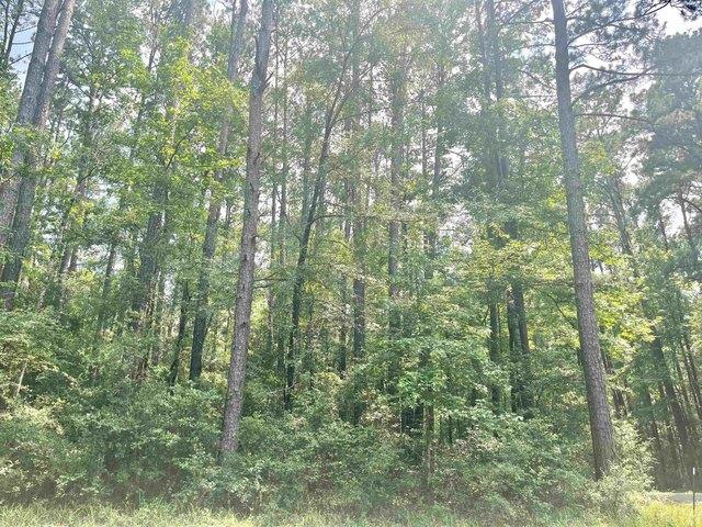 Land for sale in Sabine, Texas