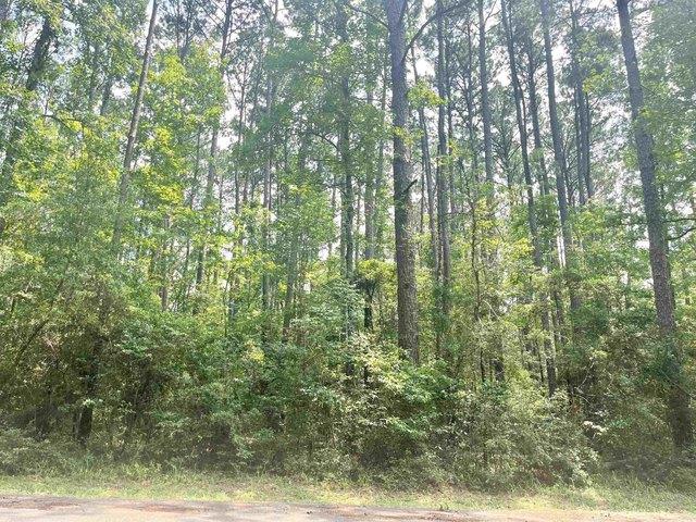 Land for sale in Sabine, Texas