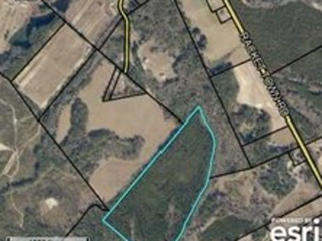 Land for sale in Lyons, Georgia