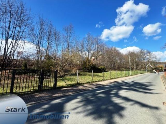 Haus kaufen in Reißiger Vorstadt, Plauen