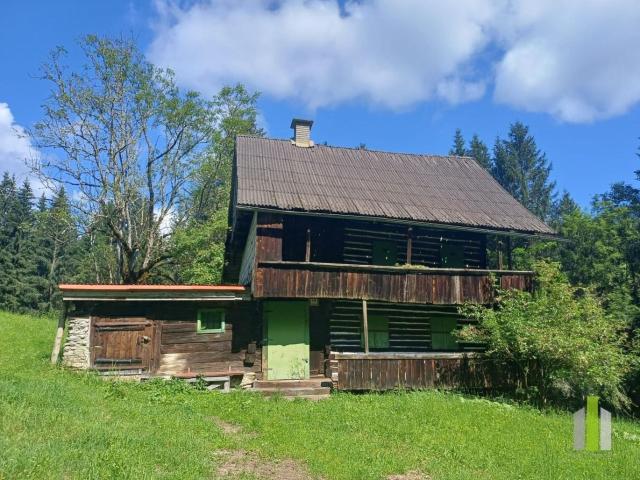 Haus kaufen in Sirnitz